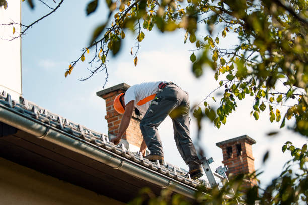 Best Sealant for Roof  in Woodworth, OH